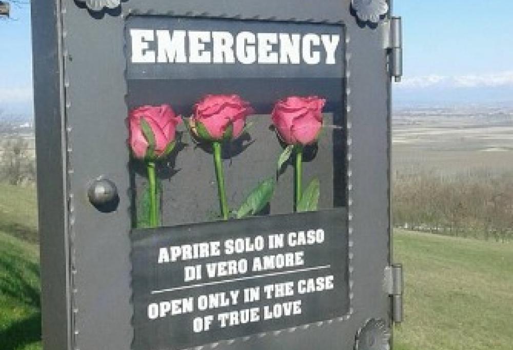 Rose gratis per le coppie, ma “solo in caso di vero amore”
