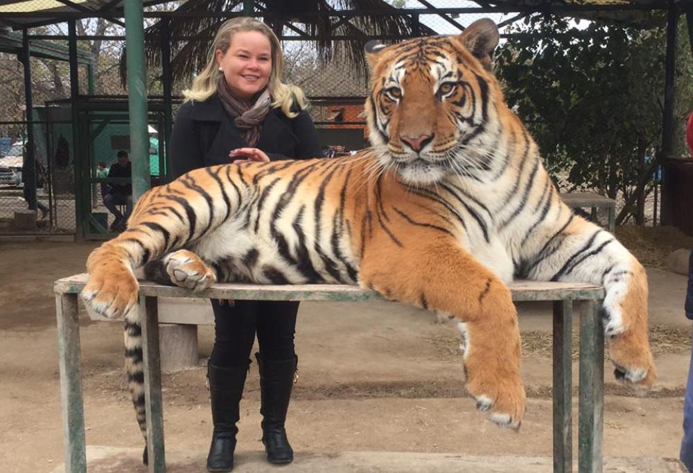 Animali drogati per fare selfie con i visitatori, critiche degli animalisti