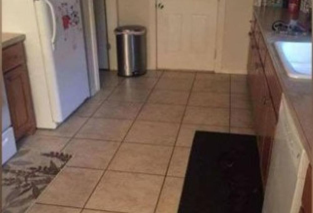 Test: riuscite a trovare il cane in questa foto?