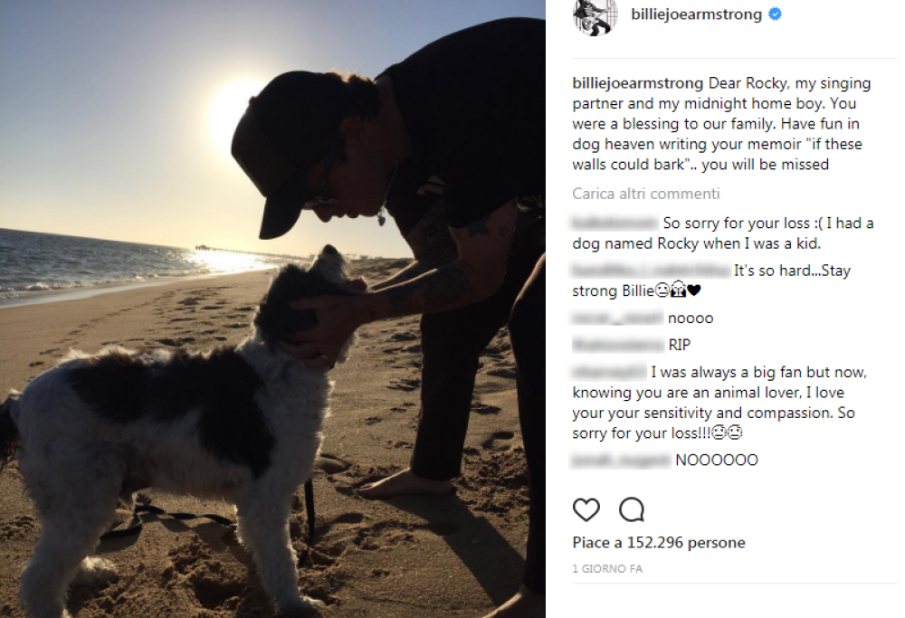 Billie Joe Armstrong dice addio al suo cane Rocky
