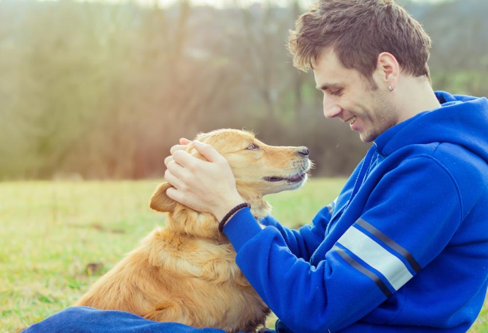 I cani ci amano davvero, è scientificamente provato!
