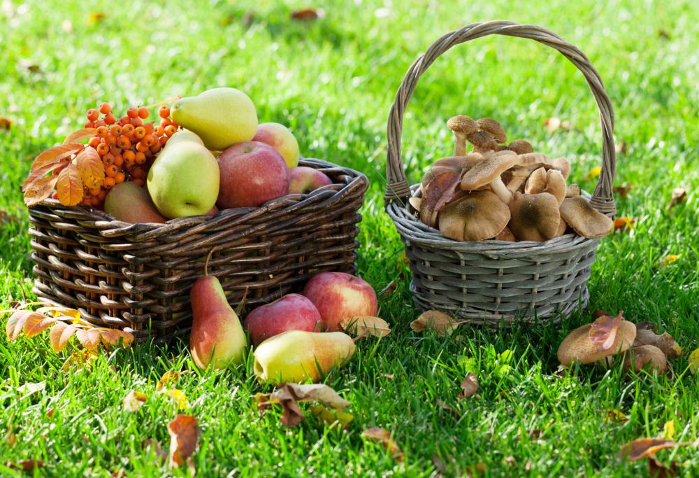 Cosa mangiare per affrontare al meglio il cambio di stagione