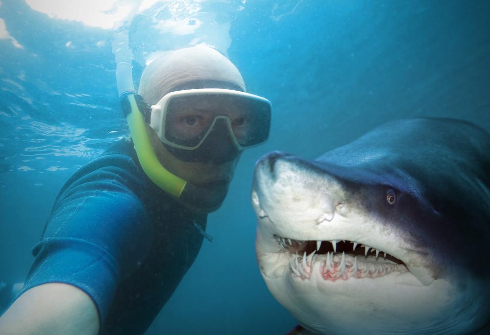 Effetto social, triplicati i seflie con gli animali