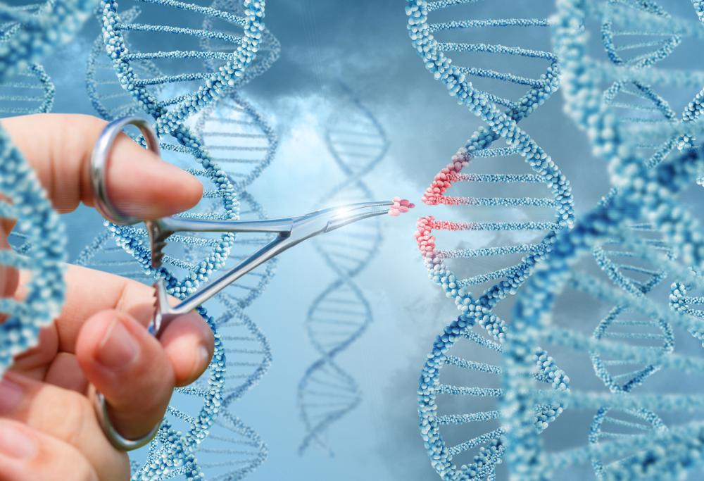 Negli Usa sperimentazioni per modificare il Dna 