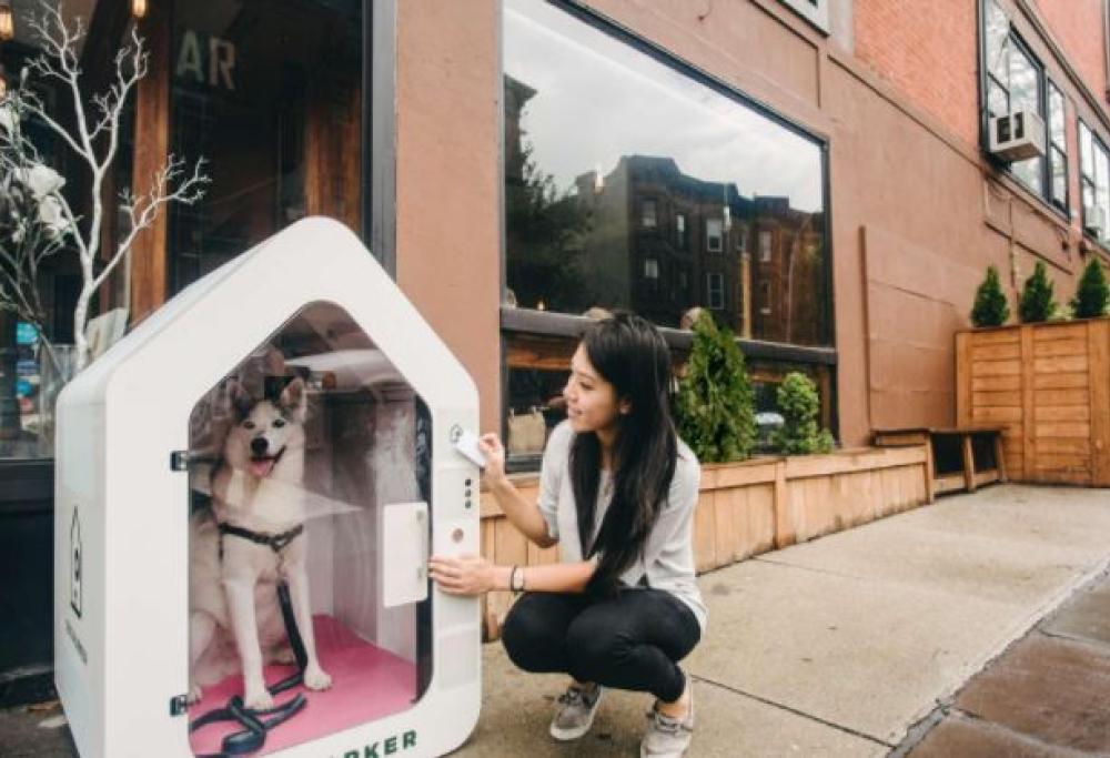 Arriva da New York la nuova cuccia tecnologica per tenere al caldo i cani mentre si fa shopping
