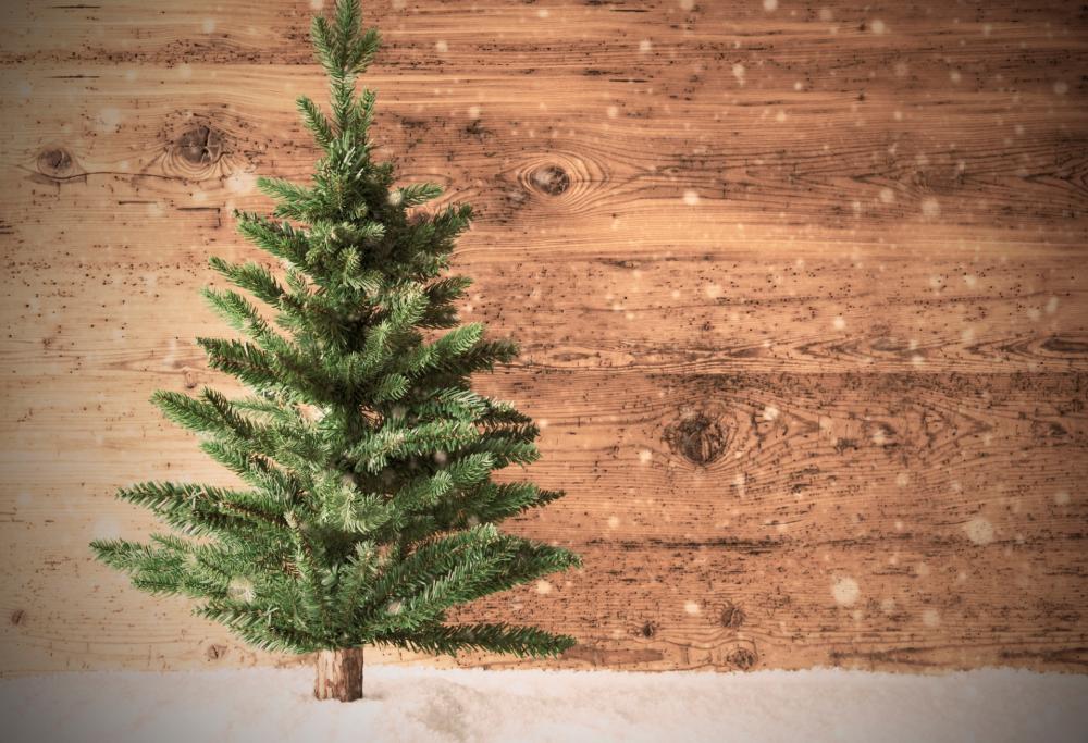 Gli italiani scelgono l’albero di Natale vero
