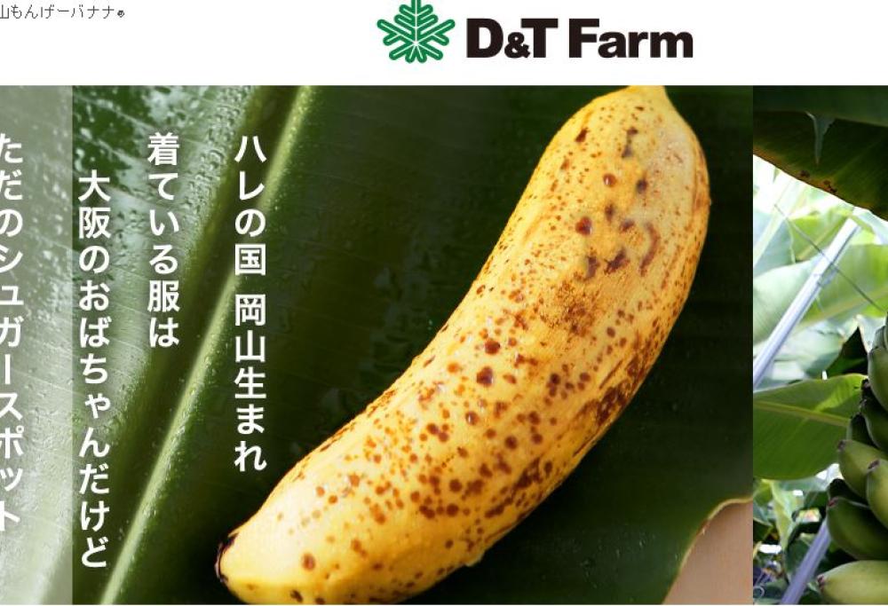 Giappone: arriva la banana da mangiare con la buccia