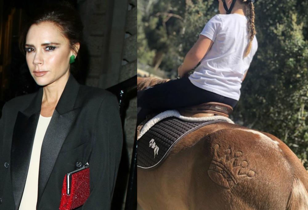 I follower contro Victoria Beckham: "Hai marchiato a fuoco il cavallo"