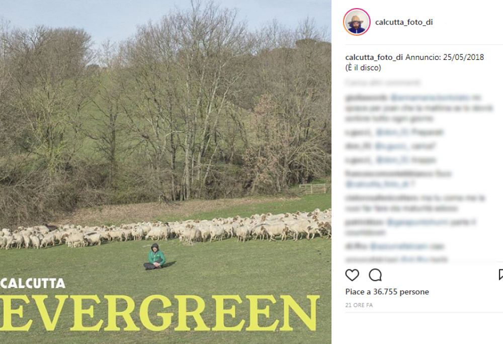 Calcutta tra le pecore nella copertina del suo nuovo album "Evergreen"