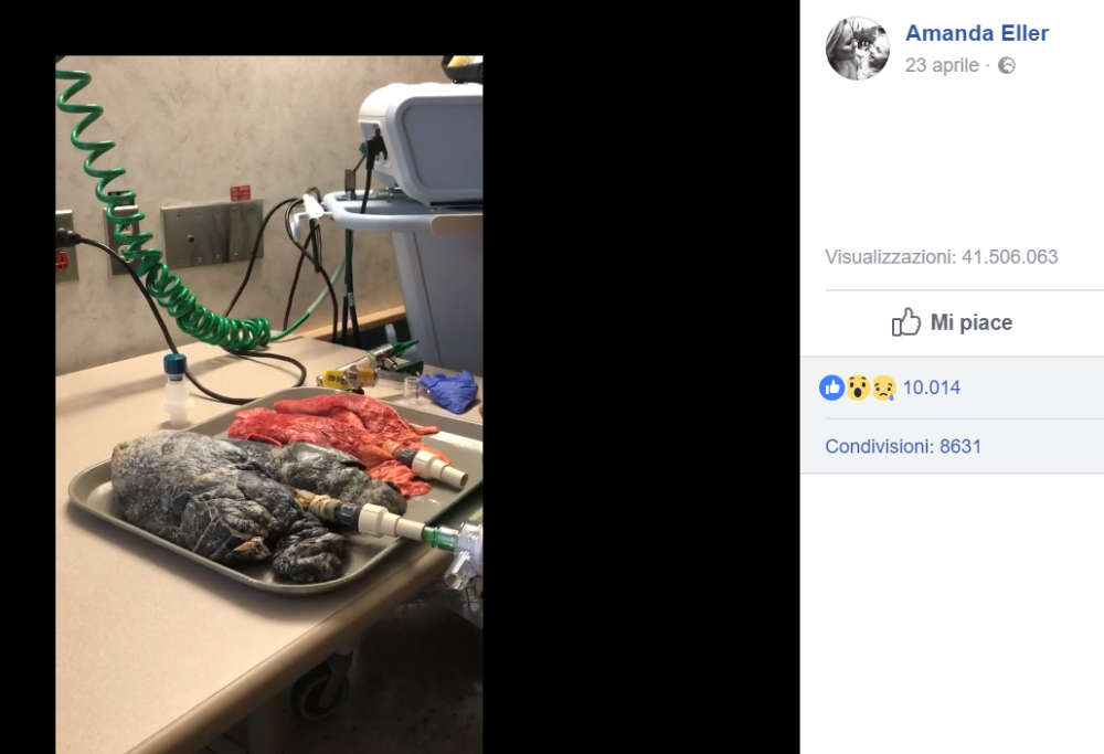 Video shock: il confronto tra i polmoni di un fumatore e quelli di un non fumatore
