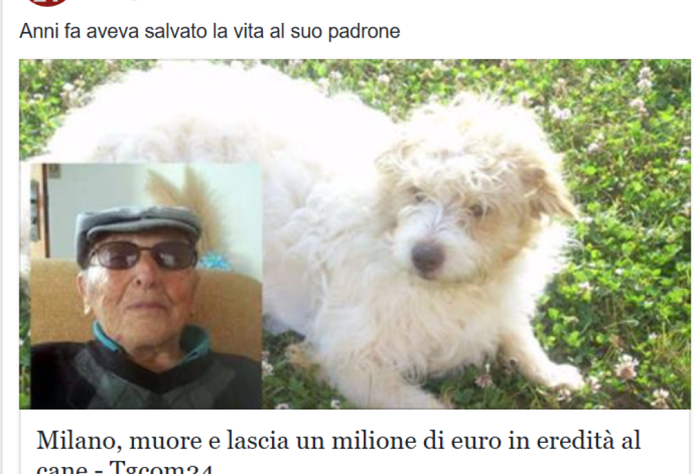 1 milione di euro in eredità al cane: succede a Milano
