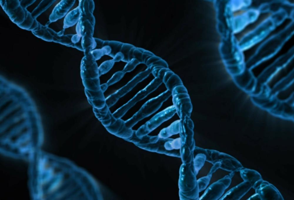 In Cina i primi esseri umani geneticamente modificati: sono immuni all’HIV