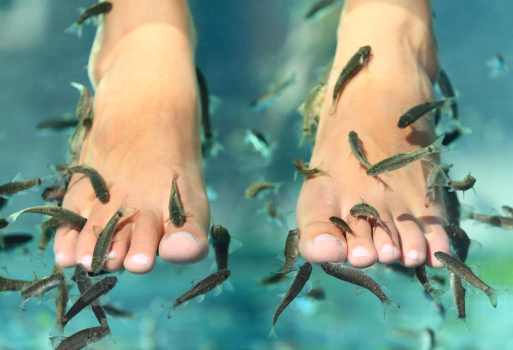 Donna perde le unghie dei piedi dopo la pedicure con i pesci