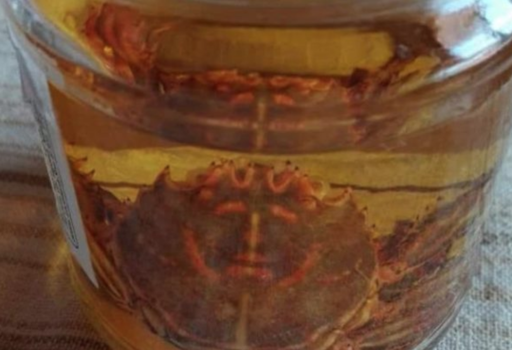 «C'è il volto di Cristo nel granchio». La strana scoperta di un pescatore 