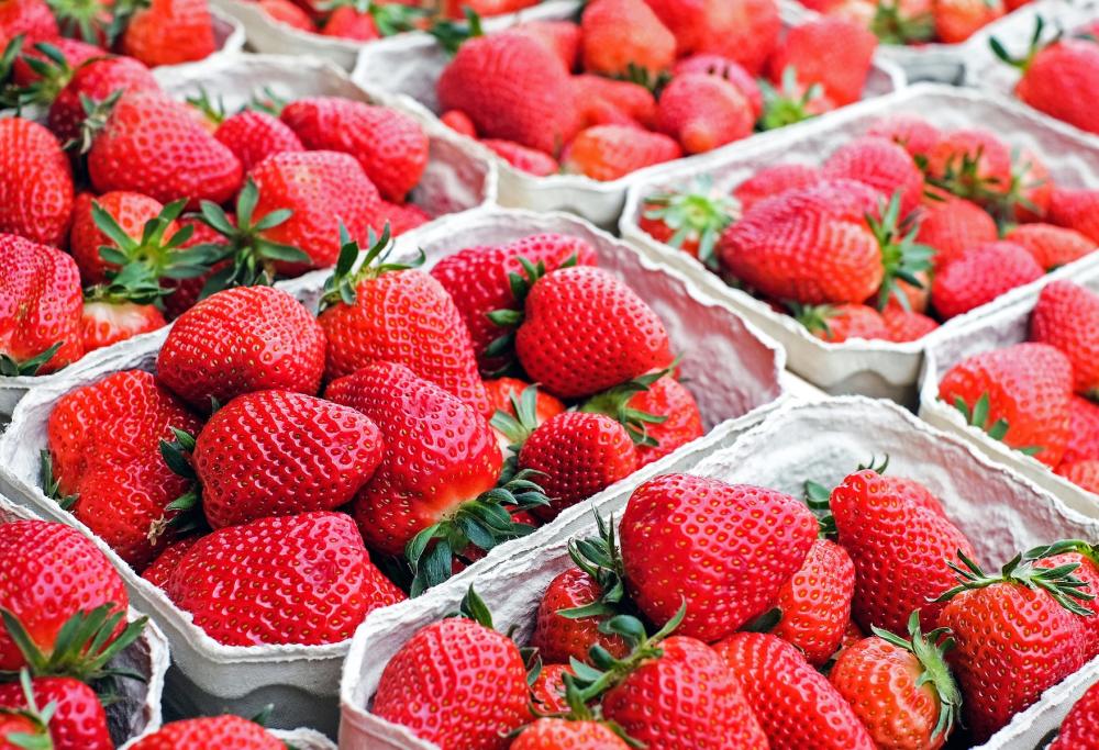 Aghi nelle fragole, panico in Australia