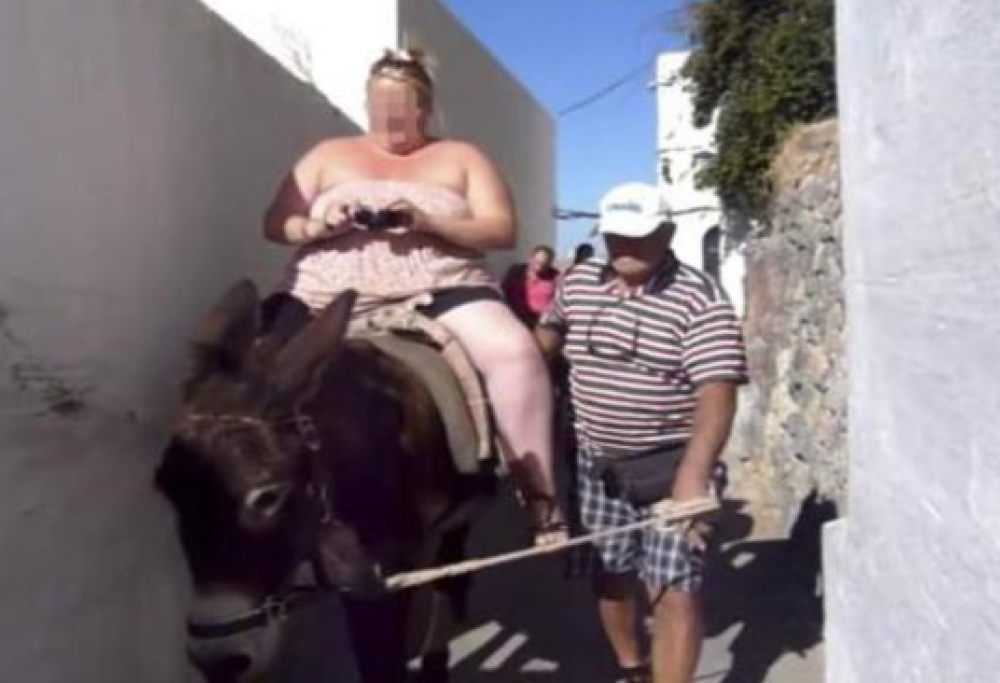 La Grecia proibisce ai turisti obesi di prendere l'asino-taxi