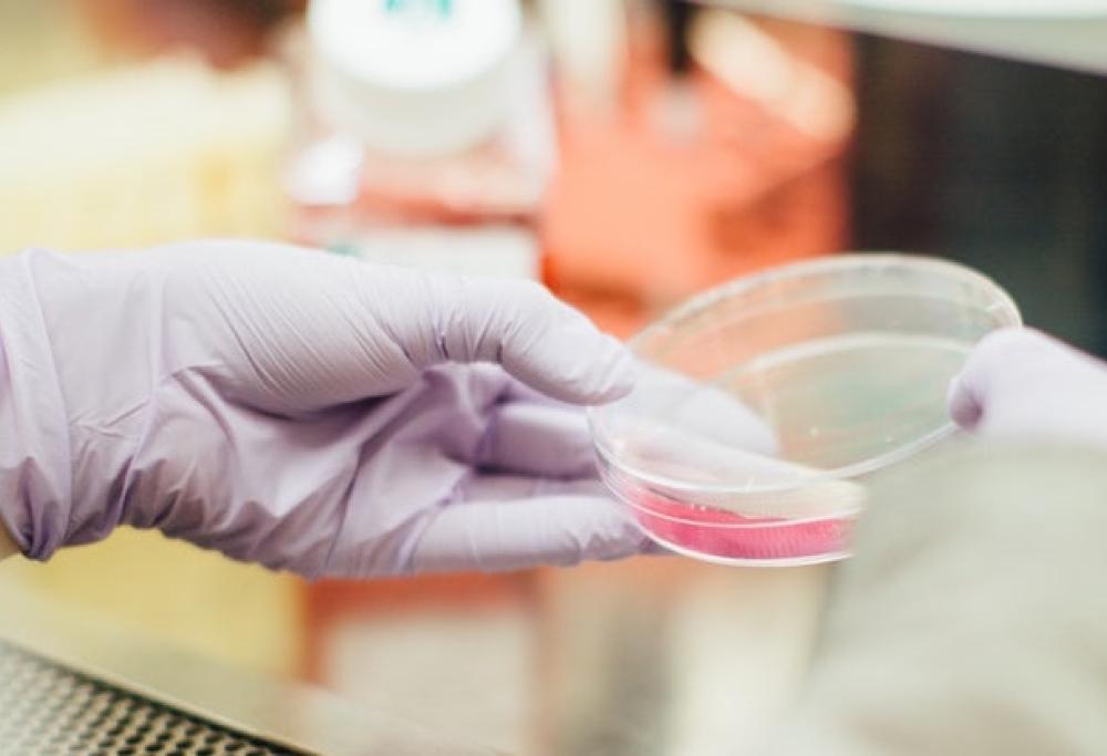 Tumori: scoperto il codice che autodistrugge le cellule