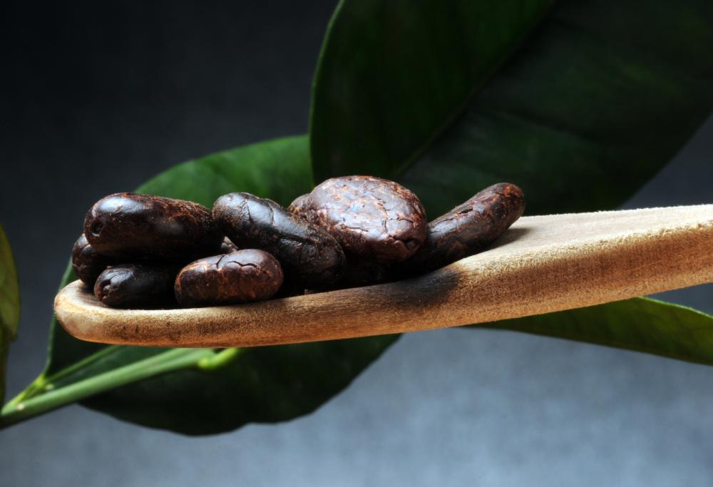 La storia del cioccolato sarebbe più antica di quello che si pensa