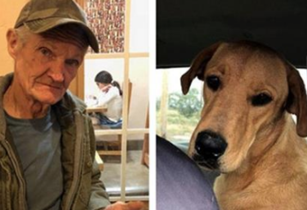Cane spara al padrone, lui lo difende: “È un cane buono”