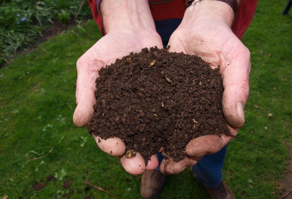 Negli Stati Uniti il compost umano potrebbe diventare legale