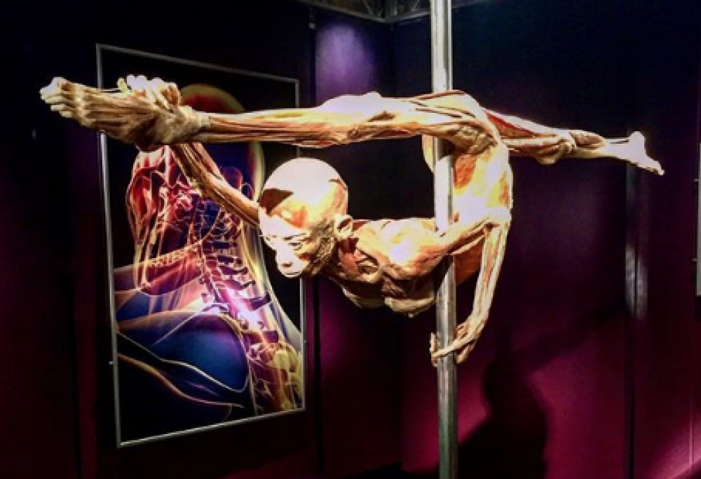 A Milano la mostra "che provoca svenimenti": 37 fino a ora