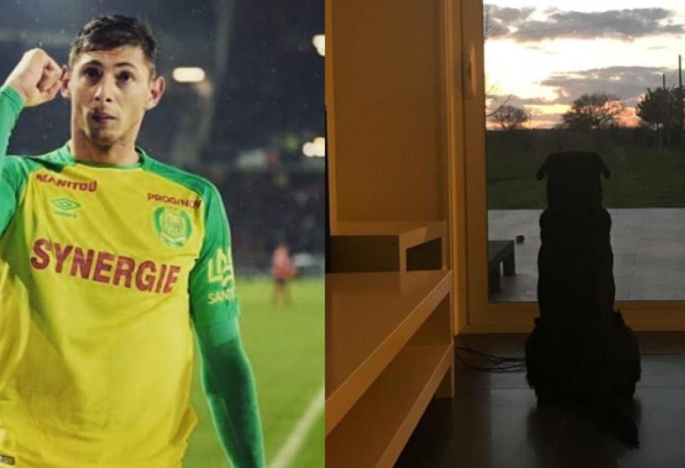 Emiliano Sala: una struggente foto mostra il suo cane che lo attende