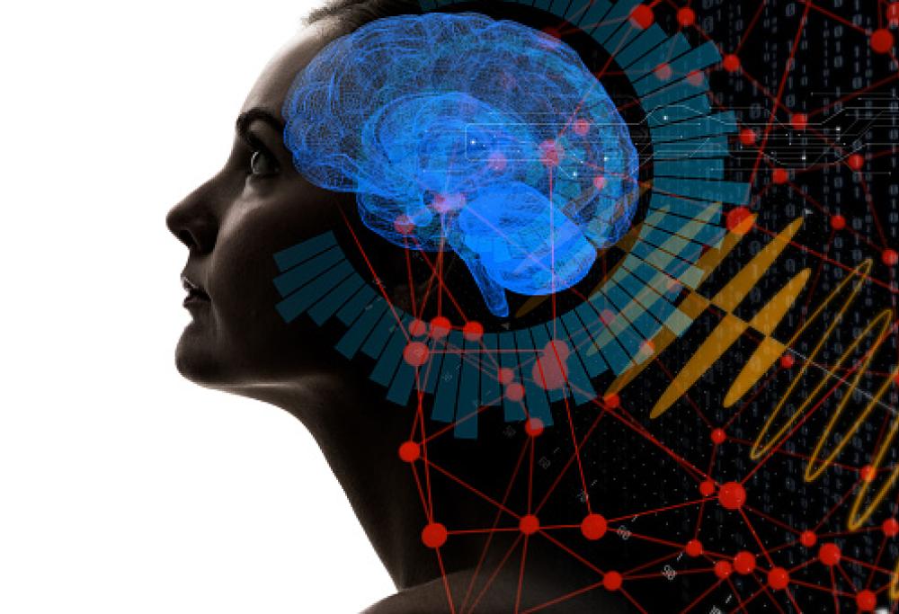 Il cervello femminile invecchia più lentamente di quello maschile: la ricerca