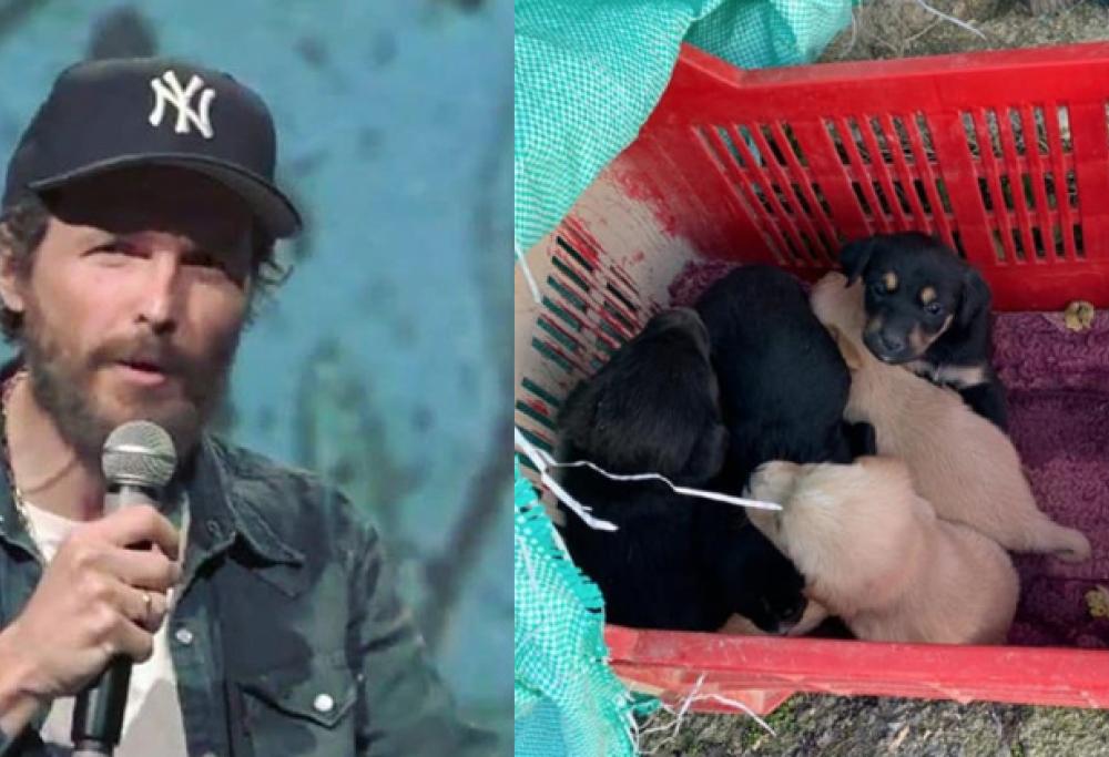 Jovanotti dal cuore grande: ecco il suo aiuto per i cani abbandonati