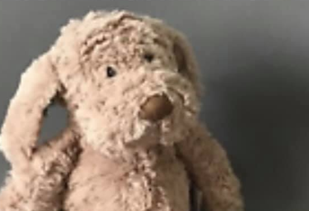 Mamma inglese derubata a Milano: “Aiutatemi a ritrovare il peluche di mio figlio”