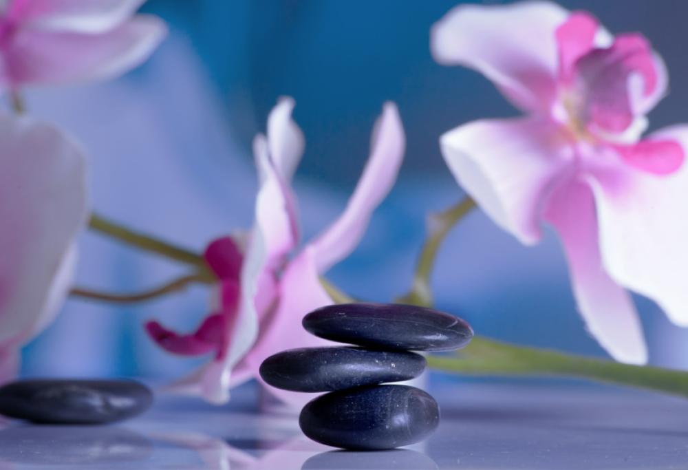 Bellezza ed equilibrio interiore: nasce il nuovo beauty brand