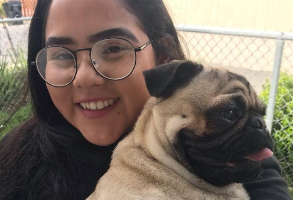 Ruba un cucciolo: scoperto e rintracciato grazie alle telecamere di sicurezza
