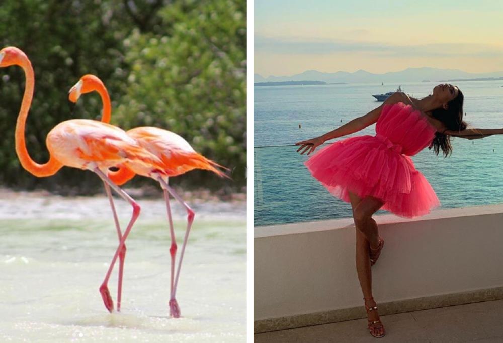 Sui social impazza la "flamingo pose": tutti in posa come fenicotteri