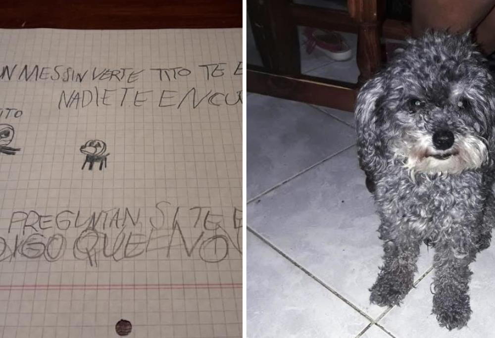 Bimbo offre la sua bici come ricompensa per ritrovare il suo cane