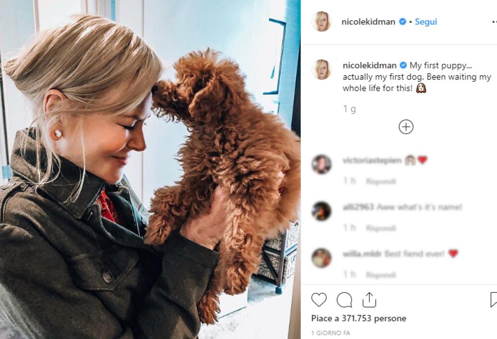 Nicole Kidman adotta un cucciolo e lo presenta ai fan sui social