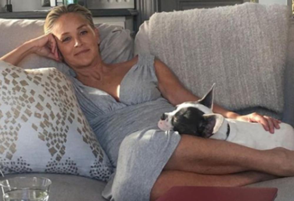 Sharon Stone: "Dopo l'ictus, sono stata dimenticata come Lady Diana"