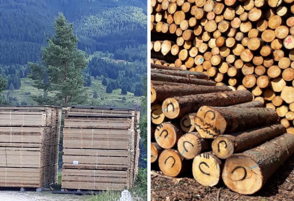 Il legno di Stradivari è salvo grazie alla campagna di crowdfunding