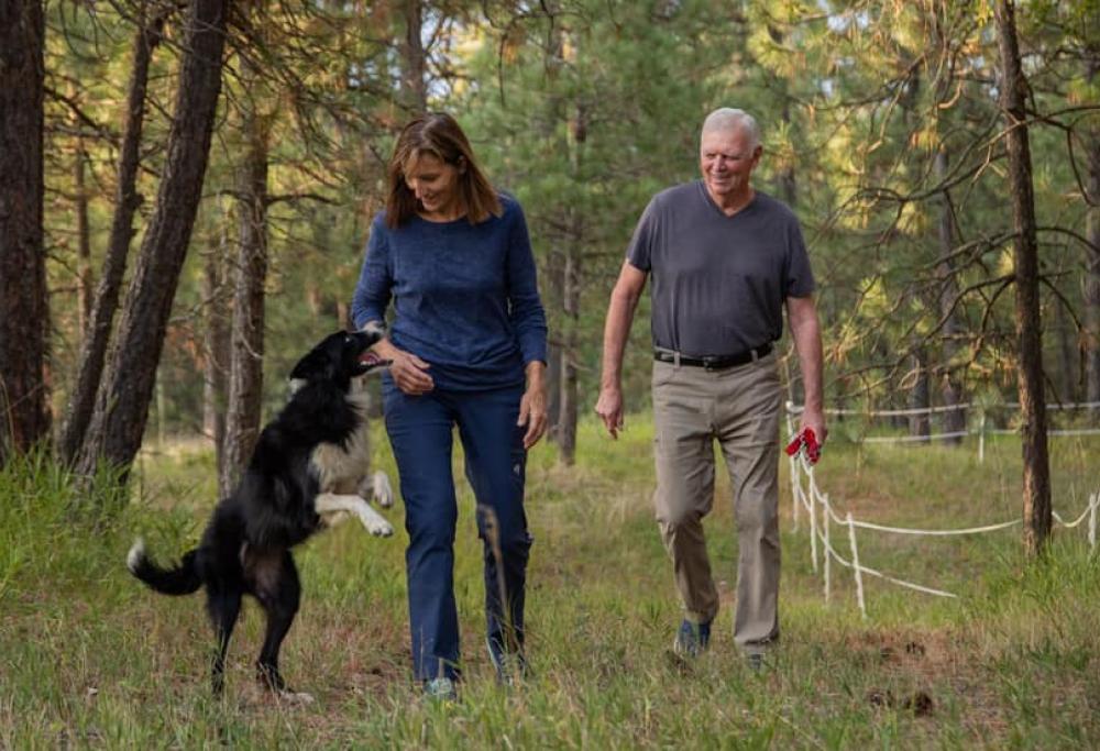 Lascia il lavoro per cercare il suo cane scomparso: lo ritrova dopo 2 mesi