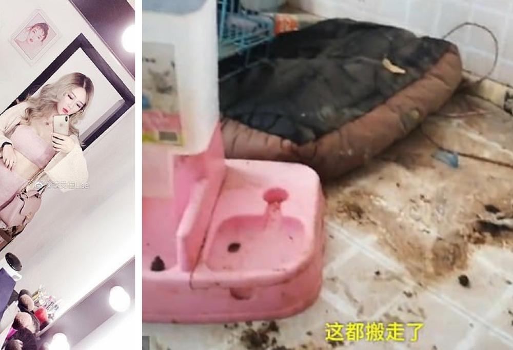 Padrona di casa furiosa smaschera online la finta influencer glamour