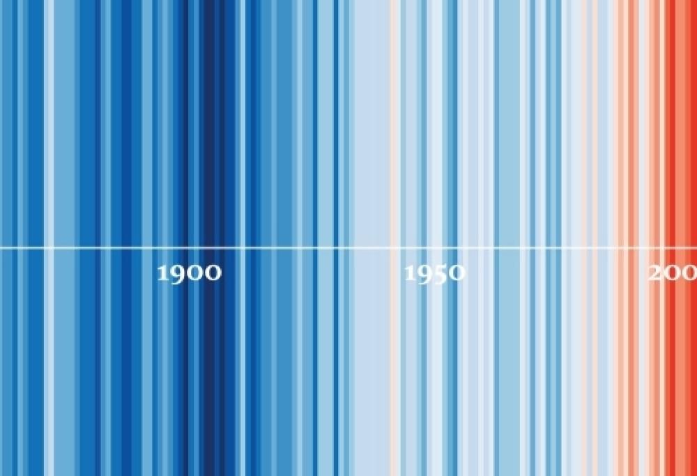 Ecco perché queste righe colorate sono così importanti 