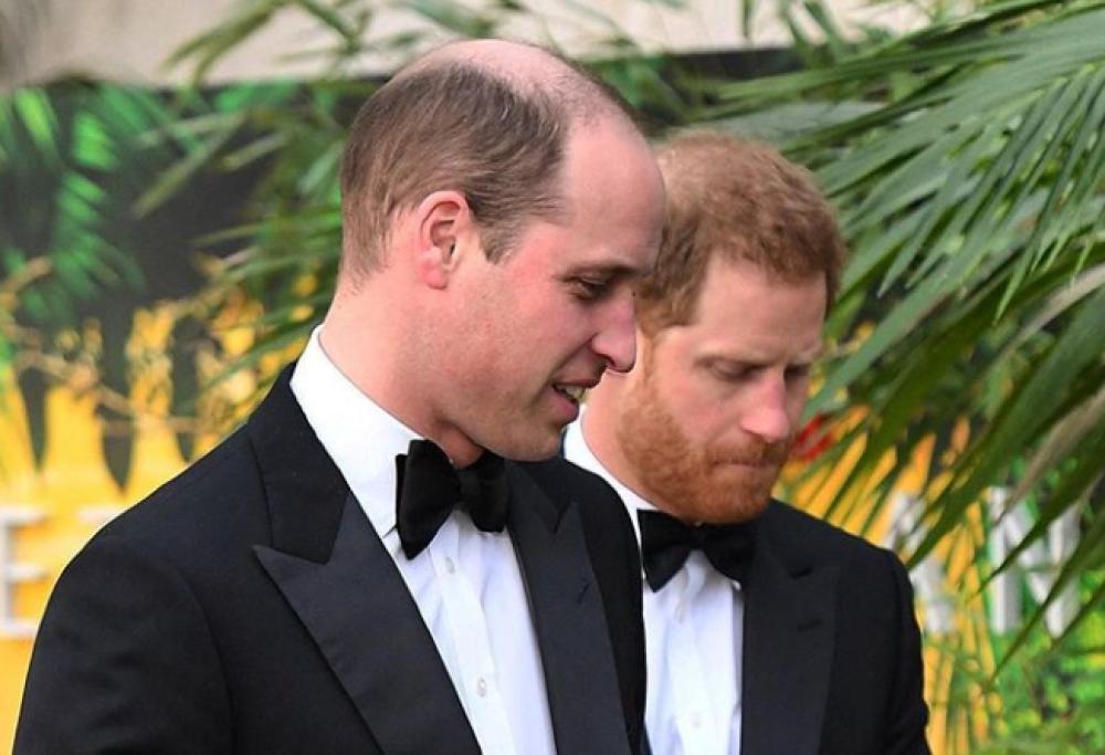 Il Principe William rivela: "Sono preoccupato per Harry"