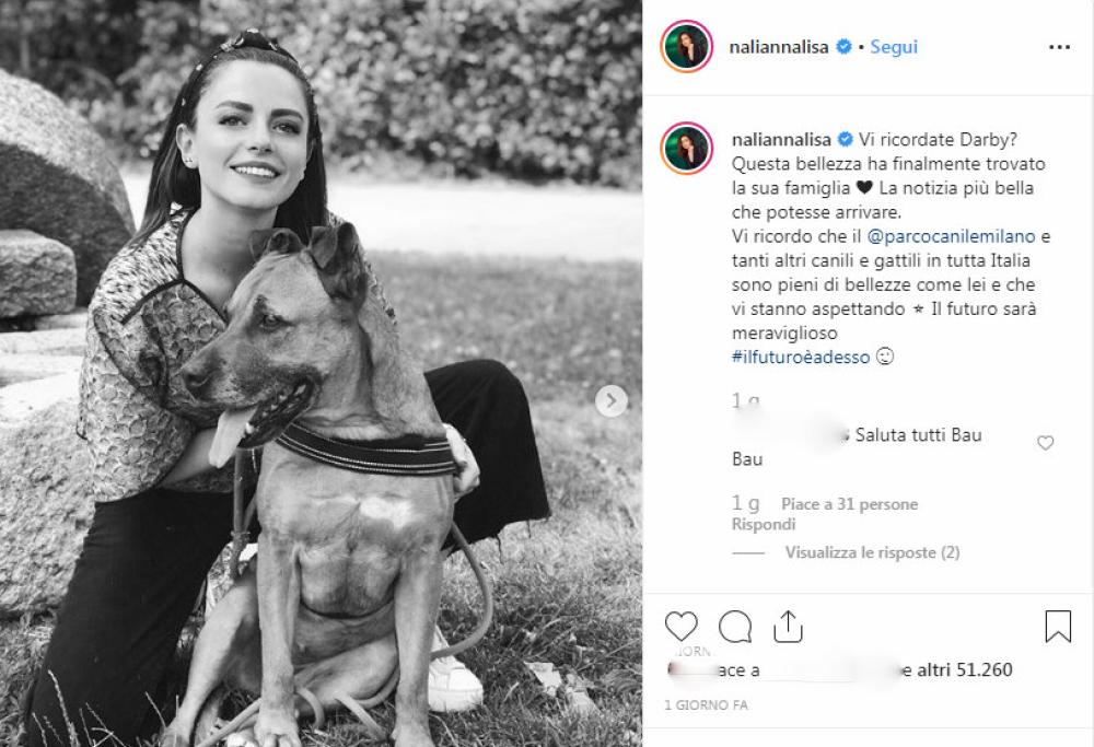 Annalisa: Darby, il cane protagonista di Avocado Toast, è stato adottato