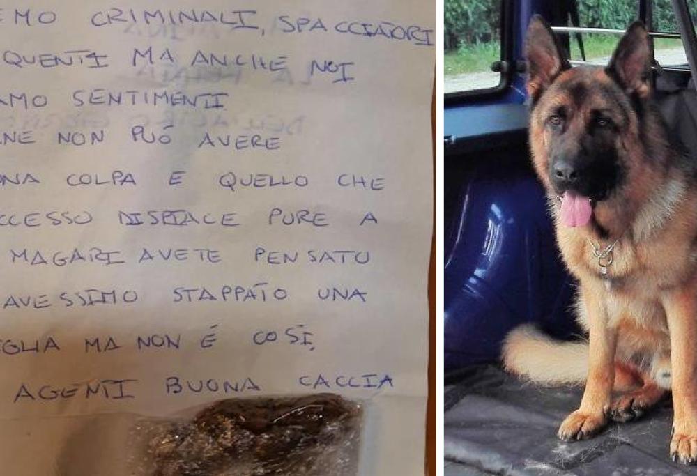 Vicenza: la morte del cane antidroga rattrista anche gli spacciatori