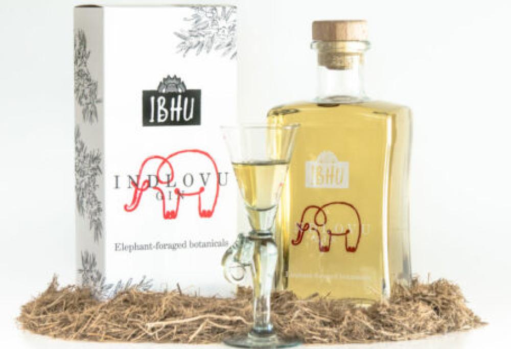 Dal Sudafrica arriva il Gin aromatizzato... allo sterco di elefante