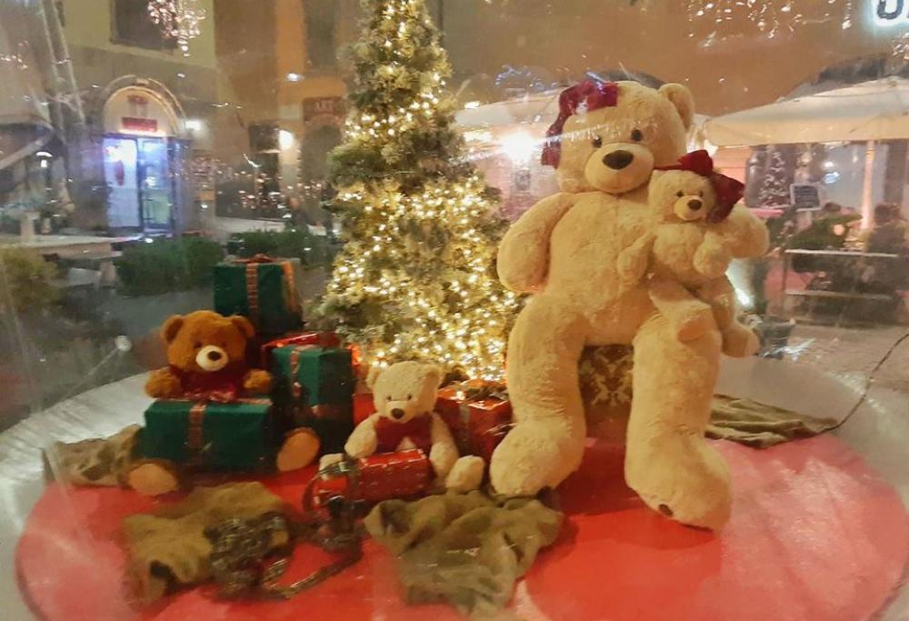 Rubato a Bergamo "Papà Orso": il peluche era destinato alla Pediatria
