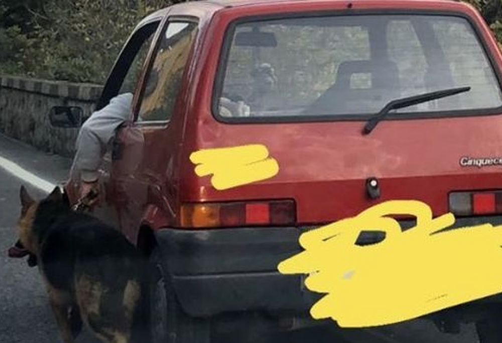 Guida la macchina mentre tiene il cane al guinzaglio: la foto scatena la polemica