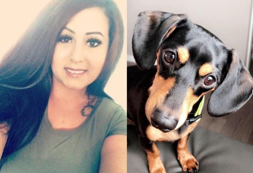 Veterinario sopprime il cane sbagliato, dopo aver chiamato il padrone di un altro