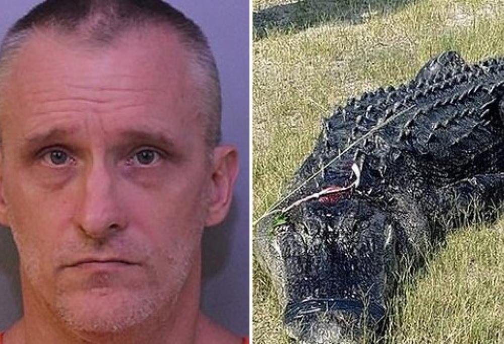 Trovato dentro lo stomaco di un alligatore, in realtà era morto per overdose
