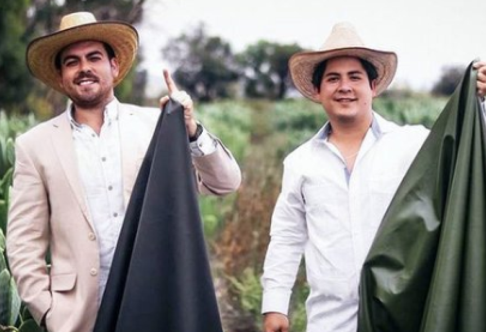 Stilisti messicani inventano Desserto, l’ecopelle ricavata dal cactus e approvata dai vegani