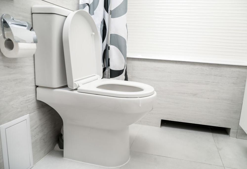 Chiudi il WC prima dello sciacquone: evita la diffusione di germi