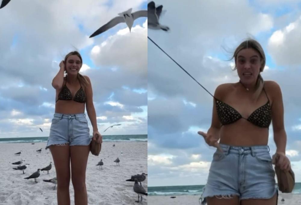 Gabbiano sfila il bikini a un'influencer mentre registra un video